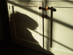 Girl in shadow 1
