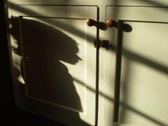 Girl in shadow 2